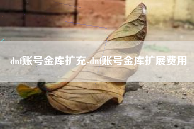 dnf账号金库扩充-dnf账号金库扩展费用