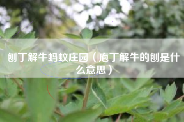 刨丁解牛蚂蚁庄园（庖丁解牛的刨是什么意思）