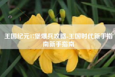 王国纪元17堡爆兵攻略-王国时代新手指南新手指南
