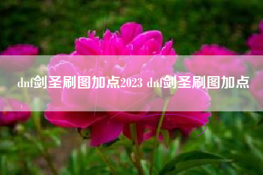 dnf剑圣刷图加点2023 dnf剑圣刷图加点