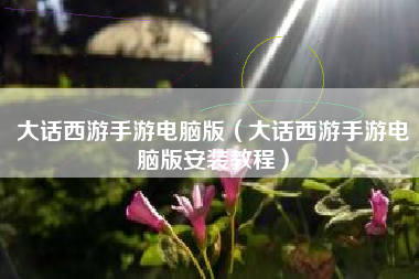大话西游手游电脑版（大话西游手游电脑版安装教程）