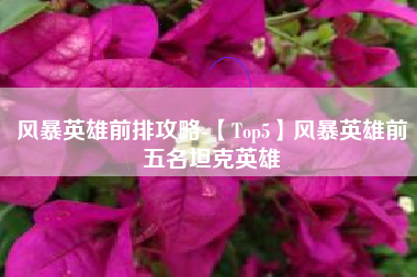 风暴英雄前排攻略-【Top5】风暴英雄前五名坦克英雄