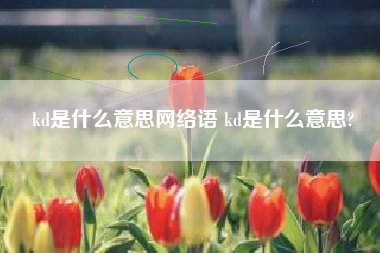 kd是什么意思网络语 kd是什么意思?