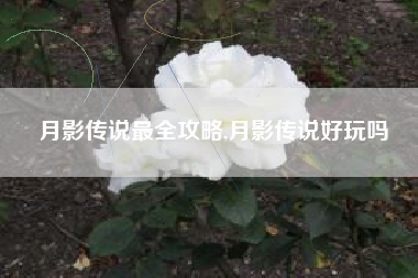 月影传说最全攻略,月影传说好玩吗