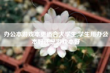 办公本游戏本更适合大学生,学生用办公本好还是游戏本好