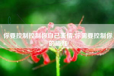 你要控制控制你自己表情-你需要控制你的瞄准