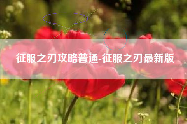 征服之刃攻略普通-征服之刃最新版
