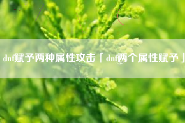 dnf赋予两种属性攻击「dnf两个属性赋予」