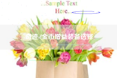 奇迹sf金币增益装备选择