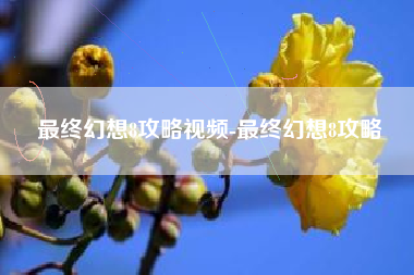 最终幻想8攻略视频-最终幻想8攻略