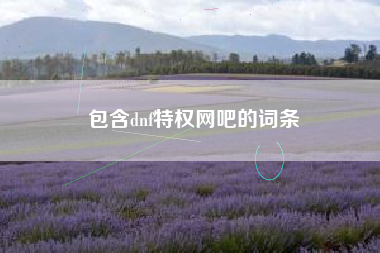 包含dnf特权网吧的词条
