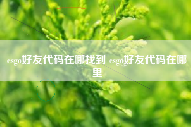 csgo好友代码在哪找到 csgo好友代码在哪里
