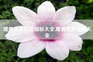 魔兽世界技能图标大全,魔兽世界技能大全