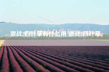 激战2四叶草有什么用 激战2四叶草