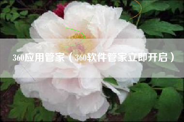 360应用管家（360软件管家立即开启）