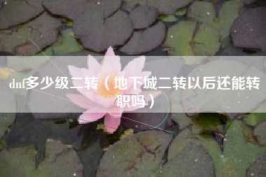 dnf多少级二转（地下城二转以后还能转职吗）
