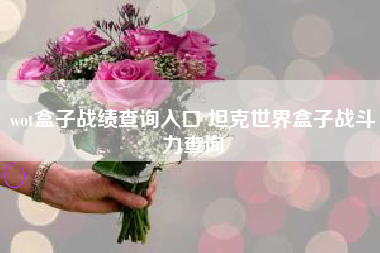 wot盒子战绩查询入口 坦克世界盒子战斗力查询