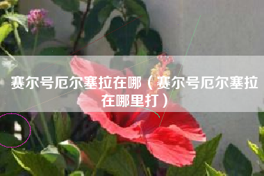 赛尔号厄尔塞拉在哪（赛尔号厄尔塞拉在哪里打）
