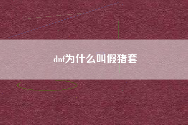 dnf为什么叫假猪套
