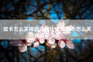 显卡怎么关闭自动优化设置,显卡怎么关闭自动优化