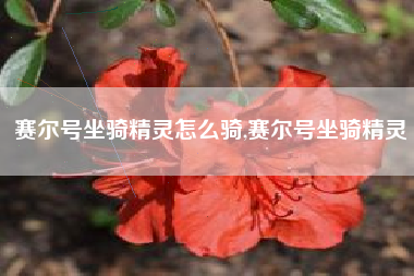 赛尔号坐骑精灵怎么骑,赛尔号坐骑精灵