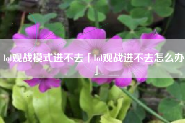 lol观战模式进不去「lol观战进不去怎么办」