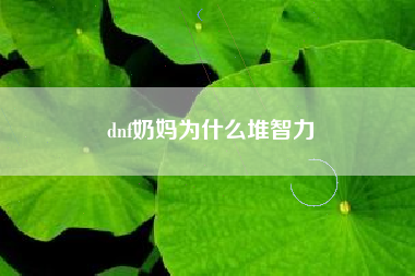 dnf奶妈为什么堆智力