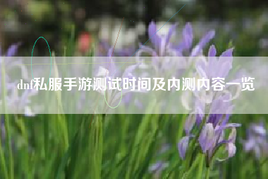dnf私服手游测试时间及内测内容一览