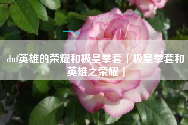 dnf英雄的荣耀和极皇拳套「极皇拳套和英雄之荣耀」