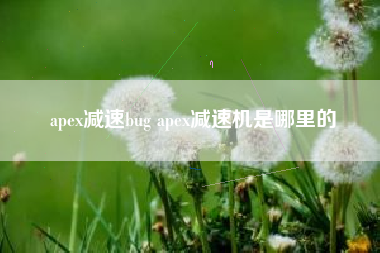 apex减速bug apex减速机是哪里的