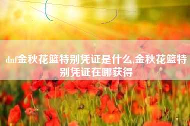 dnf金秋花篮特别凭证是什么,金秋花篮特别凭证在哪获得