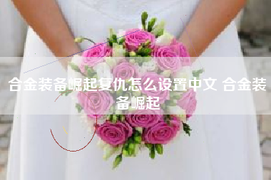 合金装备崛起复仇怎么设置中文 合金装备崛起