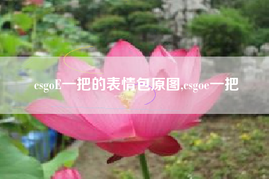 csgoE一把的表情包原图,csgoe一把