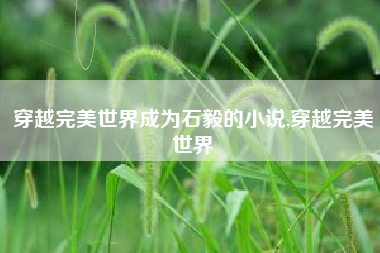 穿越完美世界成为石毅的小说,穿越完美世界