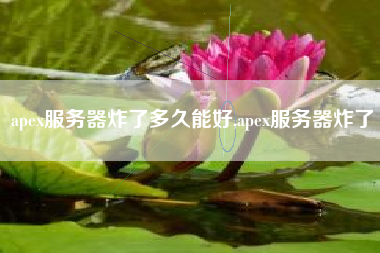 apex服务器炸了多久能好,apex服务器炸了