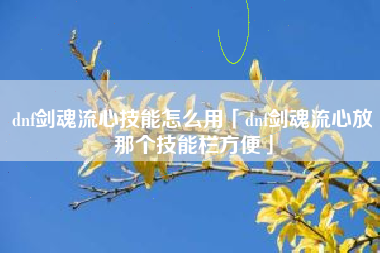 dnf剑魂流心技能怎么用「dnf剑魂流心放那个技能栏方便」