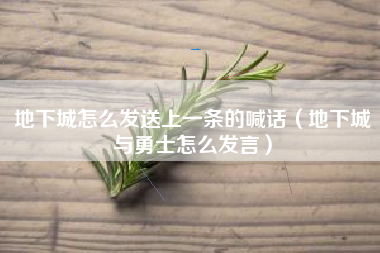 地下城怎么发送上一条的喊话（地下城与勇士怎么发言）
