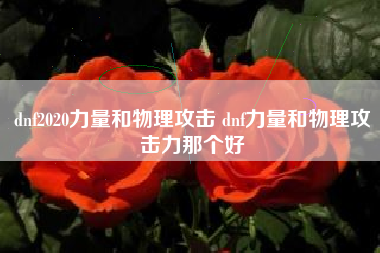 dnf2020力量和物理攻击 dnf力量和物理攻击力那个好