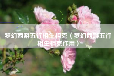 梦幻西游五行相生相克（梦幻西游五行相生相克作用）