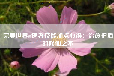 完美世界sf医者技能加点心得：治愈护盾的修仙之术