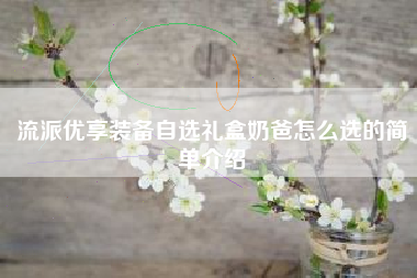 流派优享装备自选礼盒奶爸怎么选的简单介绍