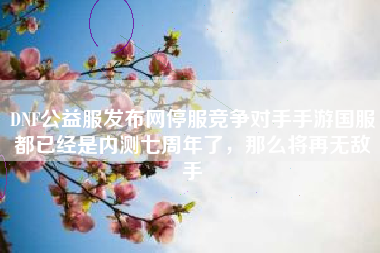 DNF公益服发布网停服竞争对手手游国服都已经是内测七周年了，那么将再无敌手