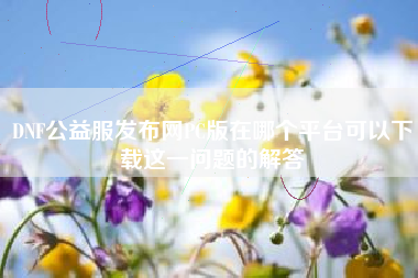 DNF公益服发布网PC版在哪个平台可以下载这一问题的解答