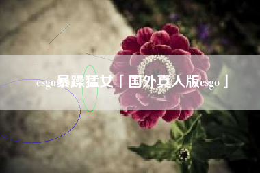 csgo暴躁猛女「国外真人版csgo」
