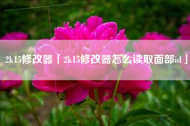 2k15修改器「2k15修改器怎么读取面部id」