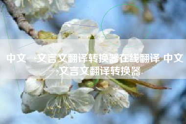 中文→文言文翻译转换器在线翻译 中文→文言文翻译转换器