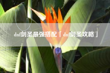 dnf剑圣最强搭配「dnf剑圣攻略」