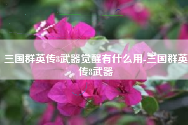 三国群英传8武器觉醒有什么用-三国群英传8武器