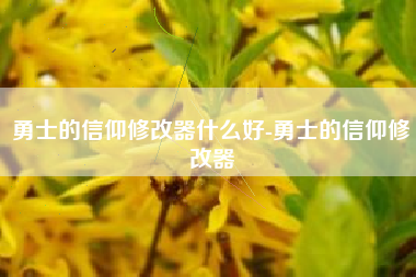 勇士的信仰修改器什么好-勇士的信仰修改器