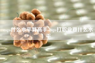 csgo什么水平算高手-csgo打职业要什么水平